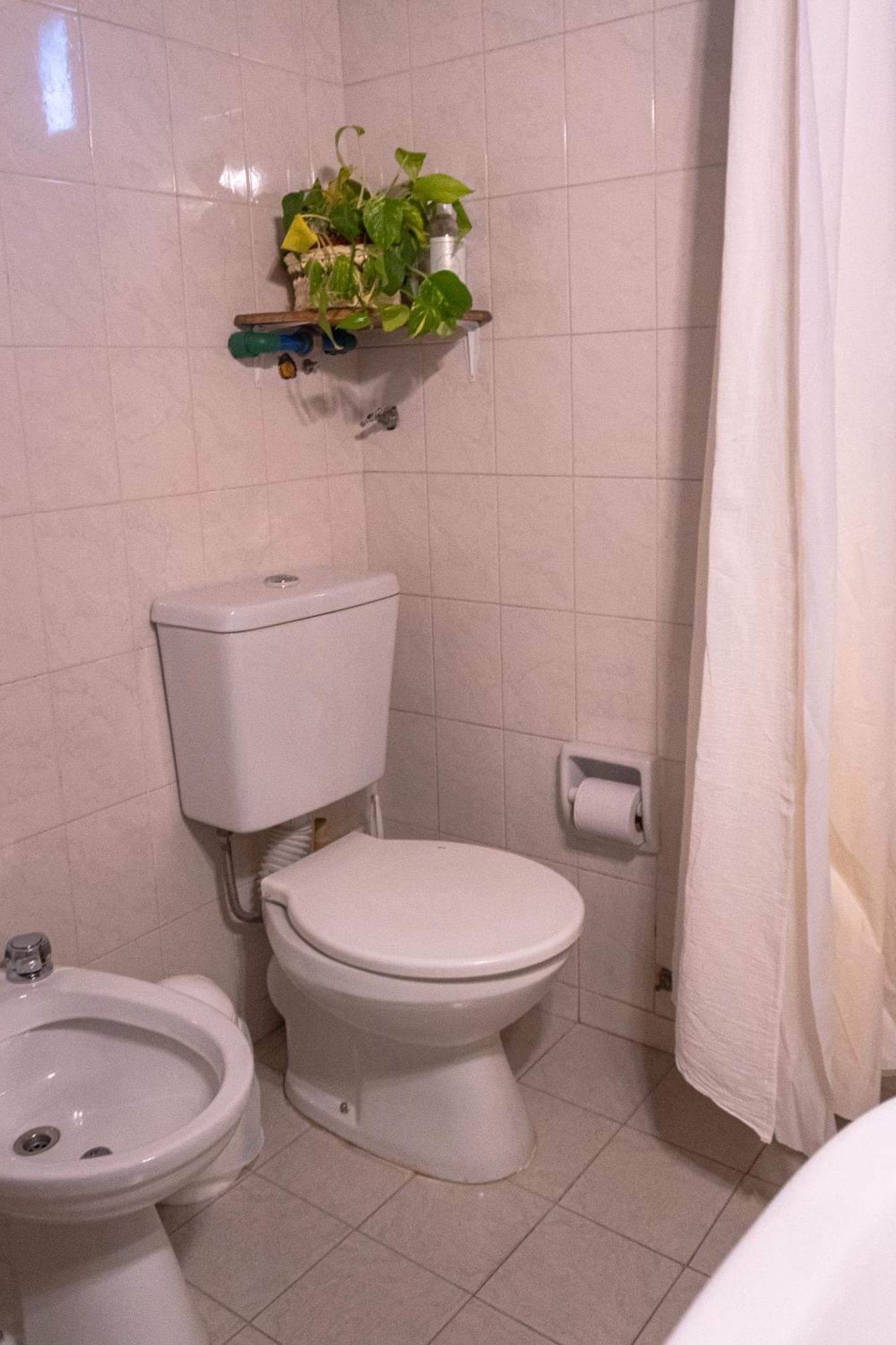 Chepatagonia Hostel & Experiences Puerto Madryn Chambre photo